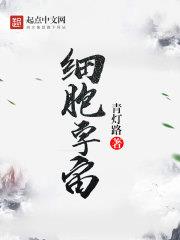 ϸ������