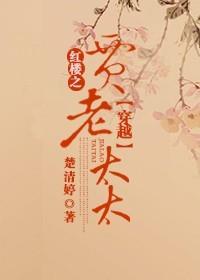 ��Խ��¥֮����̫̫